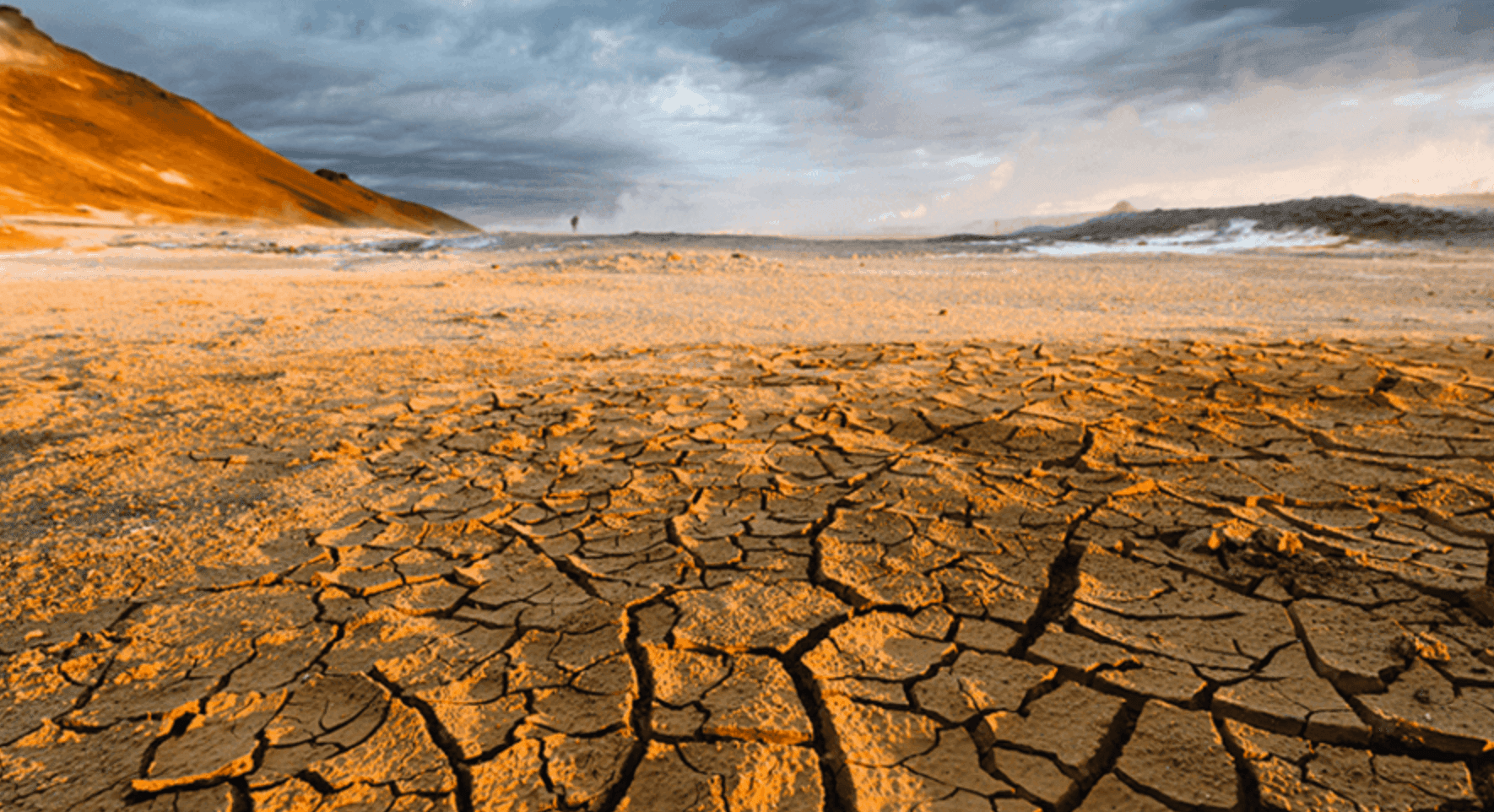 A cracked desert